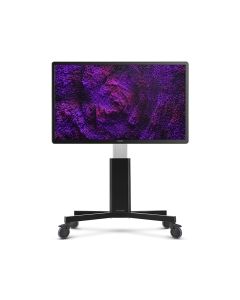 CTOUCH Riva interactief touchdisplay 65"