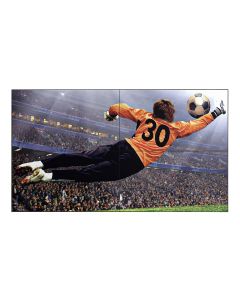 LG 55VL5F Complete Videowall 110''