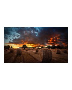 Samsung VM55B-U 55'' Videowall Display