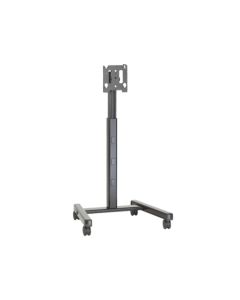 Chief MFCUB Flat Panel