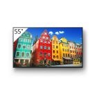Sony BRAVIA FW-55BZ30J