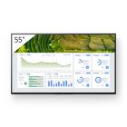Sony Bravia FW-55BZ30L