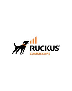 Ruckus Single AP License Upgrade