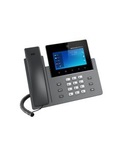 Grandstream GXV3450